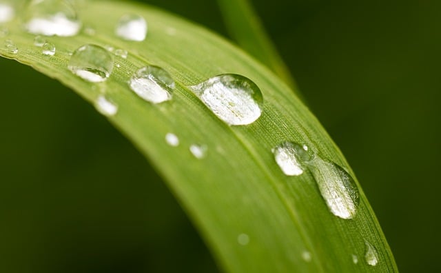 🌱 에너지 효율 가전 추천 리스트 (2025) – 전기 덜 먹고, 성능은 더 강력한 똑똑한 선택