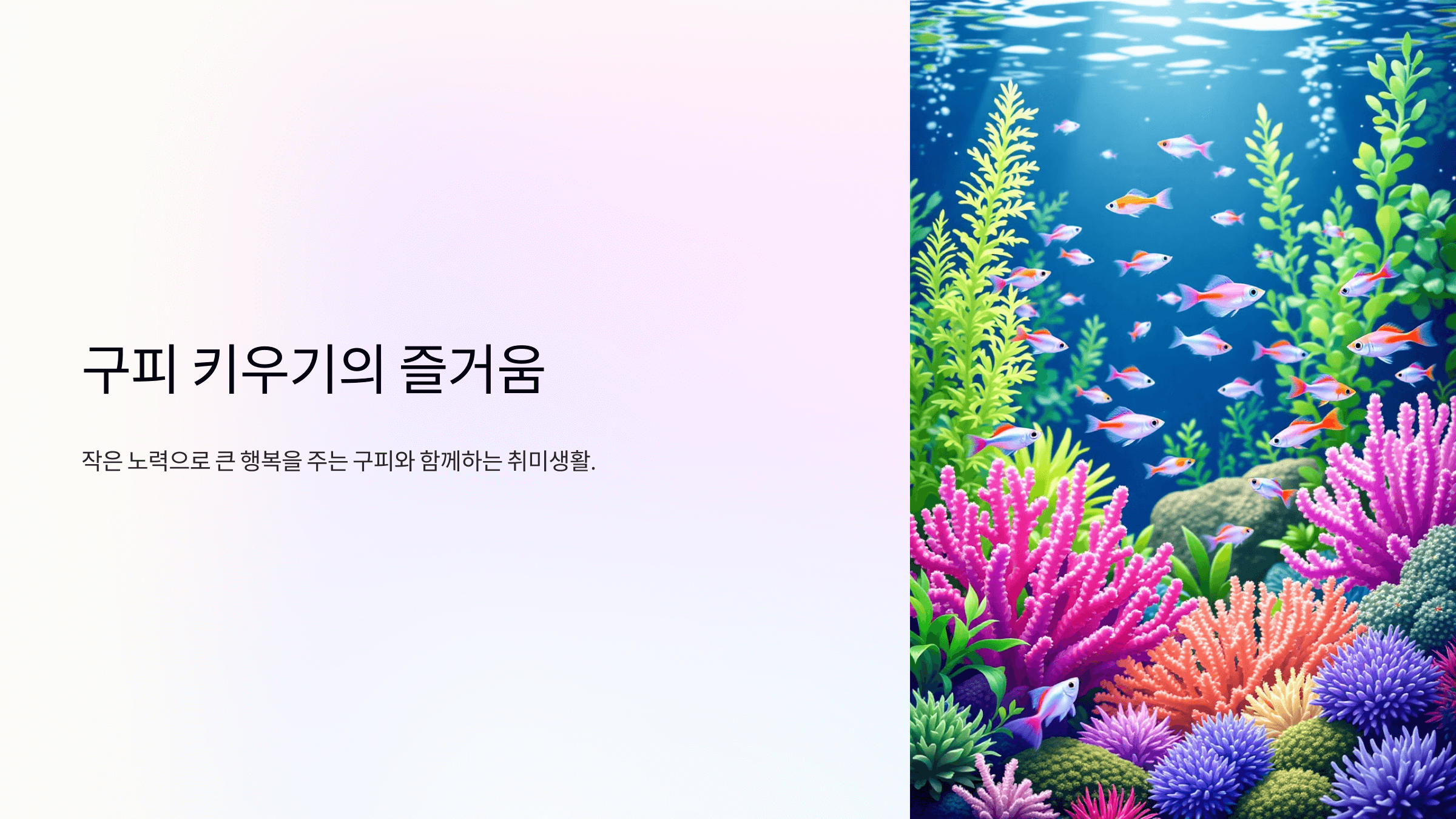 구피 사진입니다.