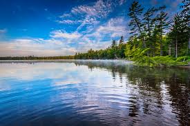 근로 장려금 반기