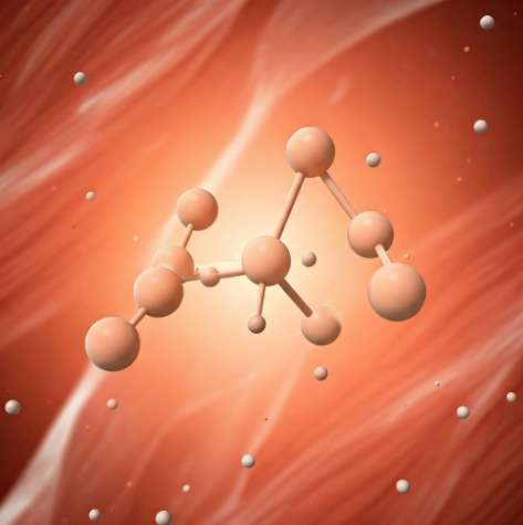 크레아틴 이란 무엇인가