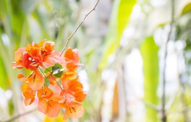 6월 제주도 가볼만한 곳