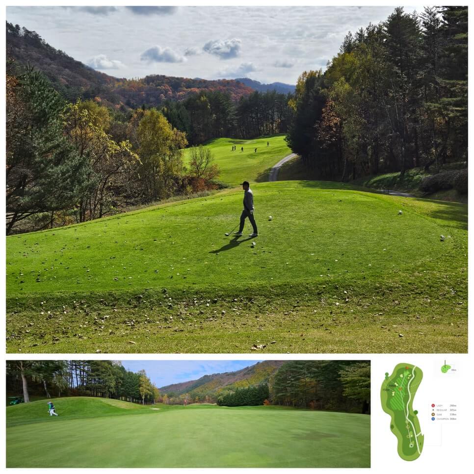 골프장 경험담 모나용평cc 해발 780m 청정 지역의 골프장 용평 리조트