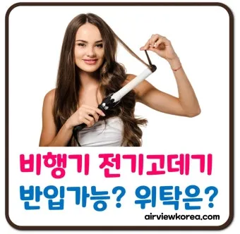 비행기 기내 수하물 반입 가능 금지 물품 2025년 기준 총정리_11