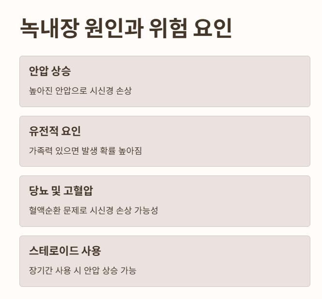 녹내장 원인과 위험 요인