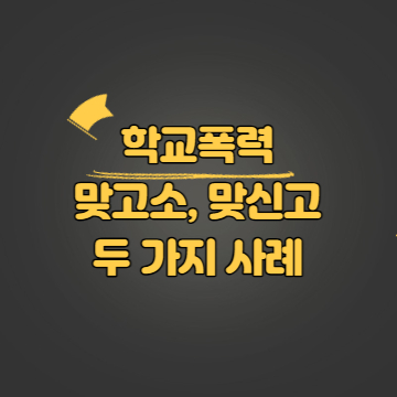 학폭 맞고소