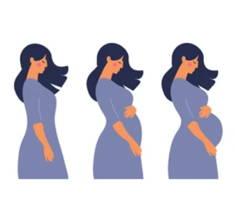 임신 극초기증상