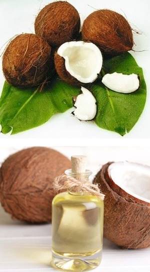 코코넛_열매와_오일