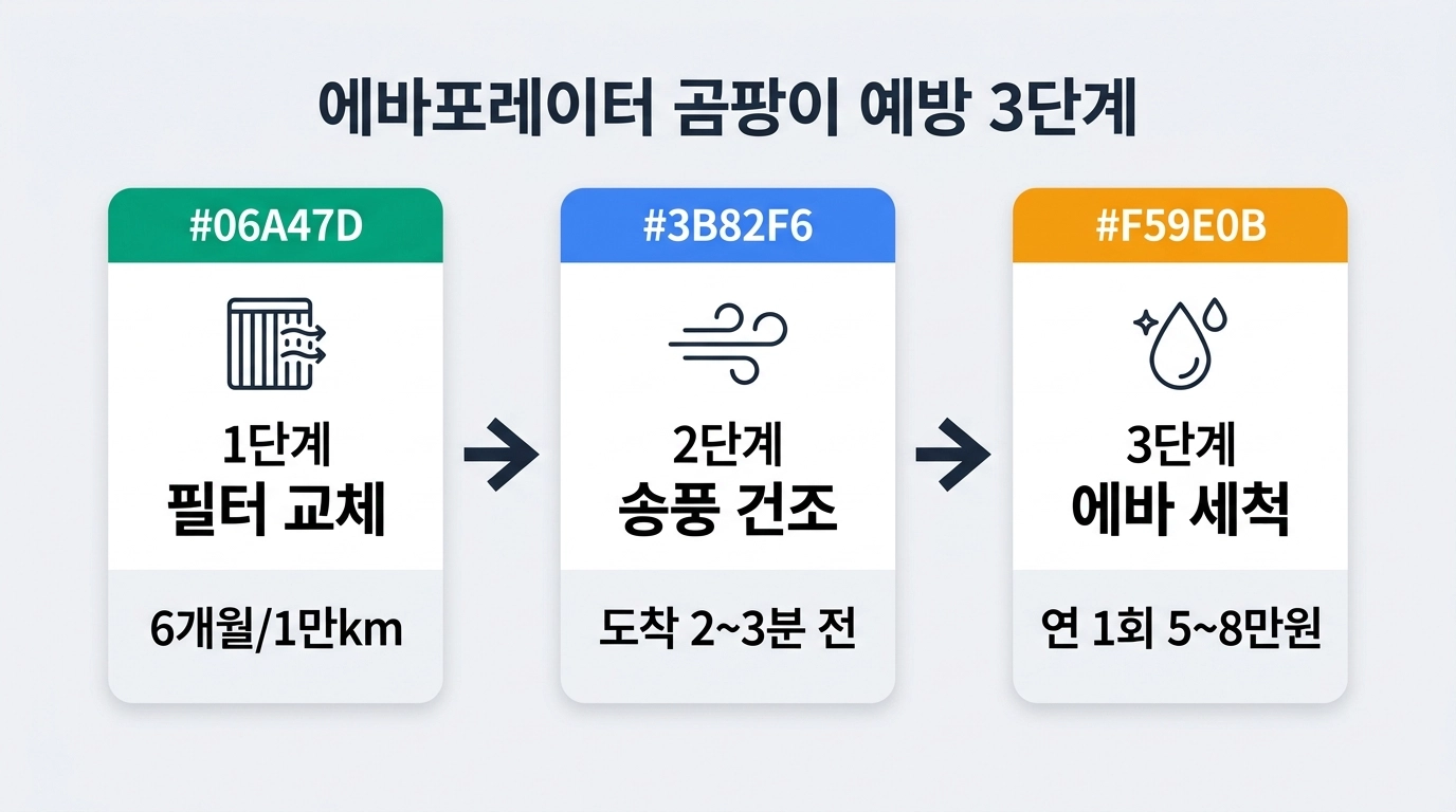 에어컨 필터 교체 후 에바포레이터 관리 3단계 인포그래픽