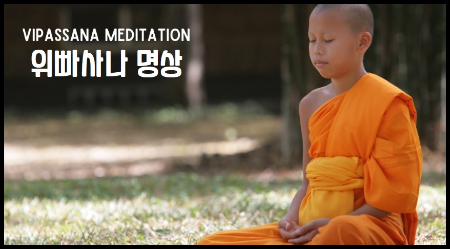위빠사나 명상