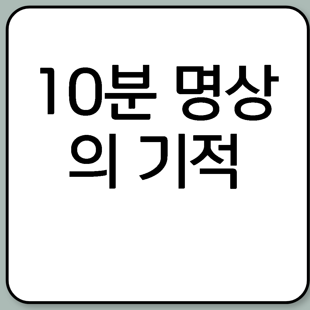 10분 명상의 기적