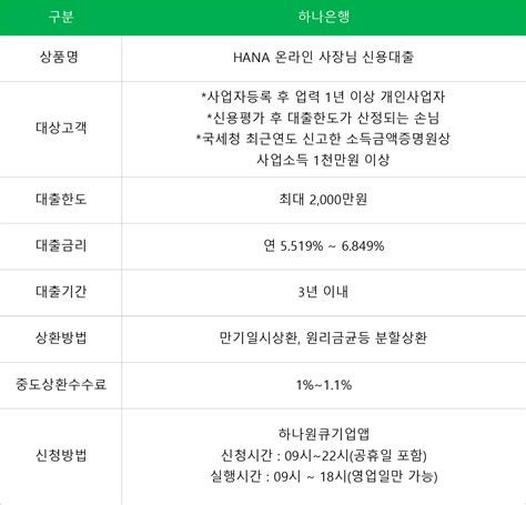 사업자 단기 대출