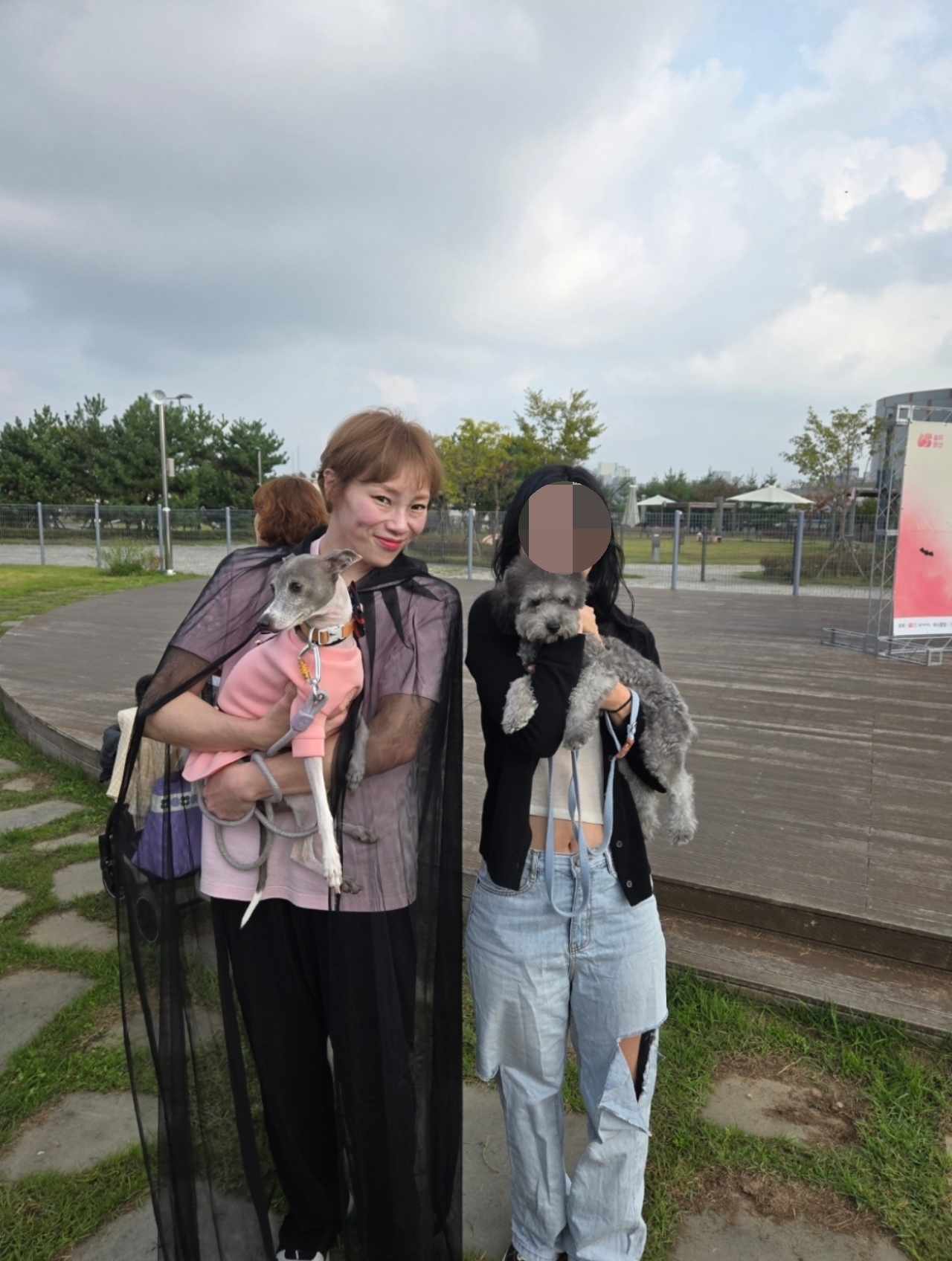 입짧은 햇님 실물 사진