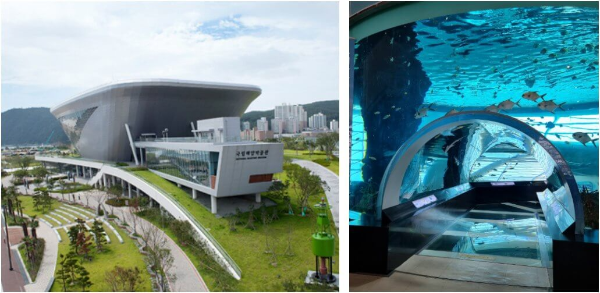 국립해양박물관, 수족관