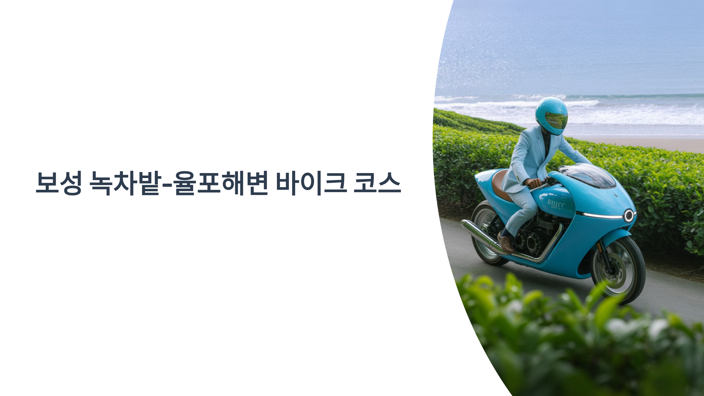 보성 녹차밭 - 율포해변 바이크 코스