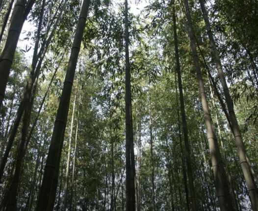 2025 추석연휴 전라남도 가볼만한 곳 BEST 5