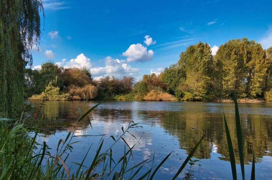 경치가 좋은 자연 경관