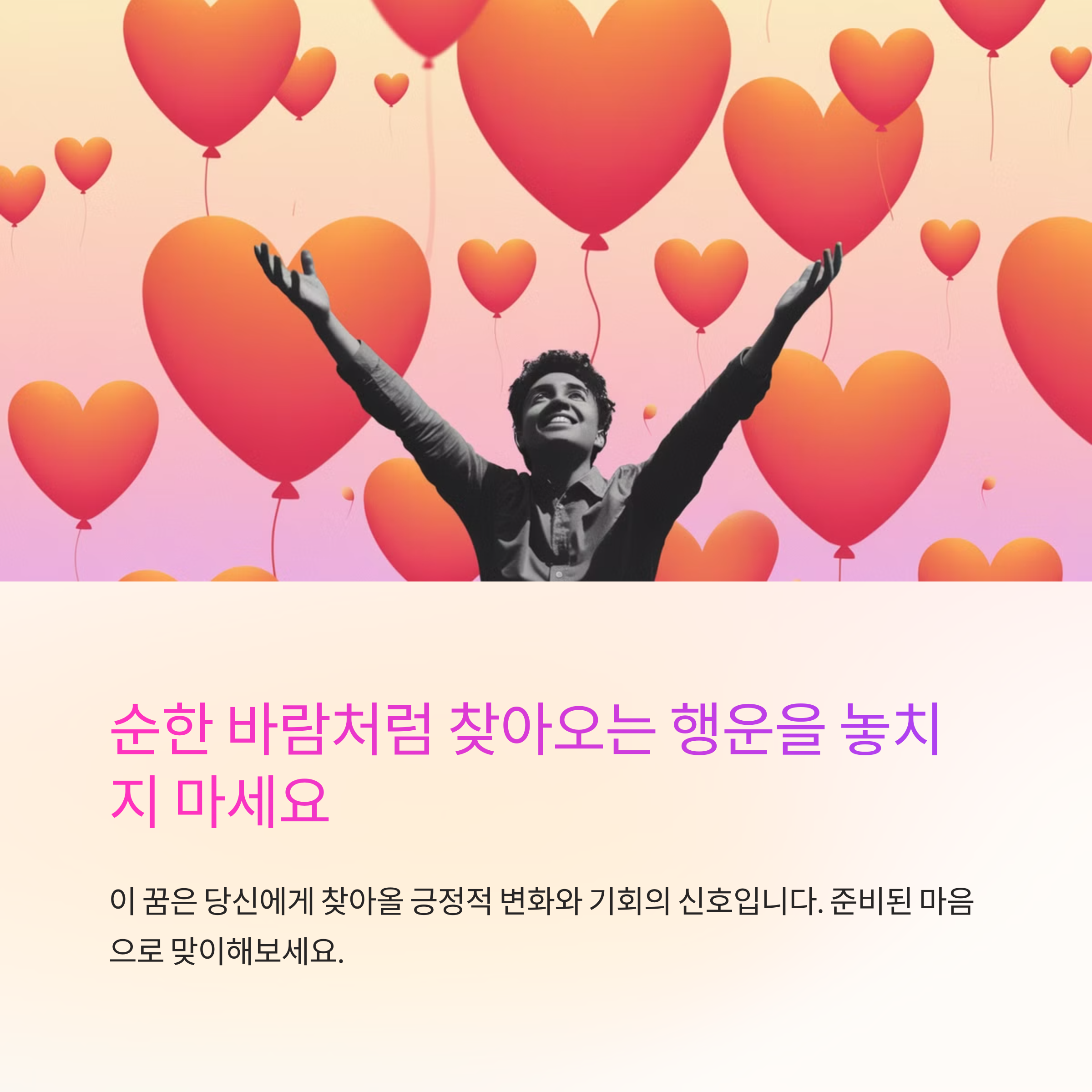 바람이 순하게 부는 꿈
