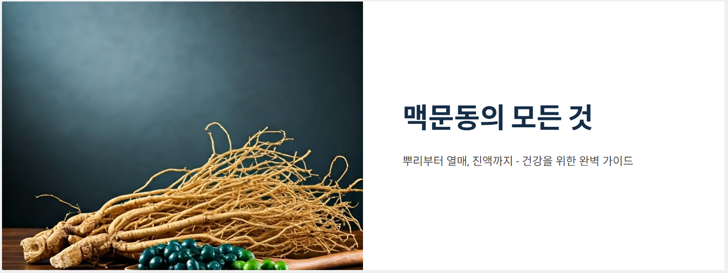 맥문동 이란 무엇인가