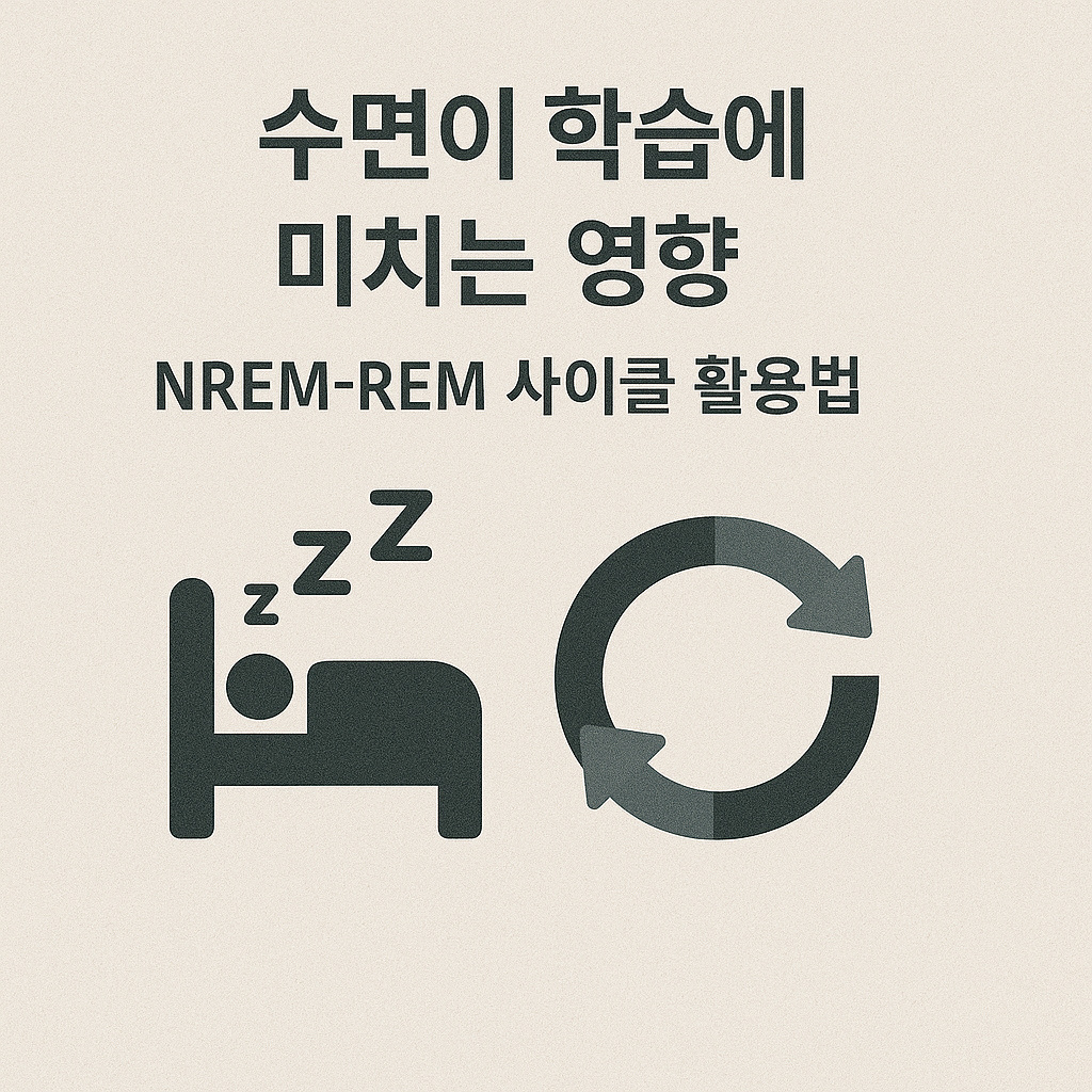수면이 학습에 미치는 영향: NREM-REM 사이클 활용법
