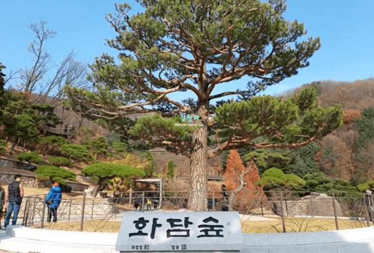 화담숲 단풍시기