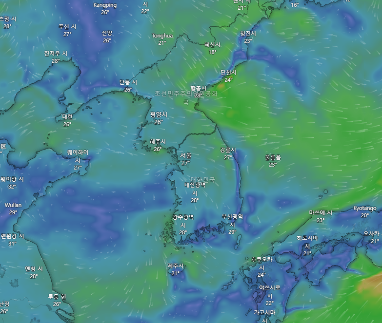 실시간 장마 정보 확인하기