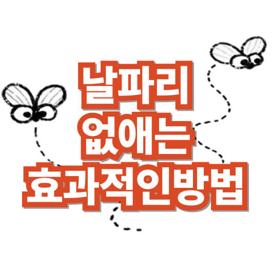날파리-없애는-법