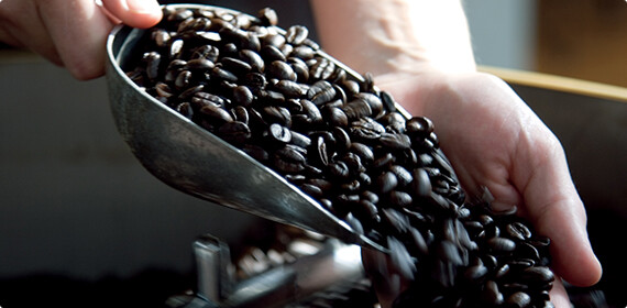 스타벅스의 커피 원두 추적 가능성과 투명성