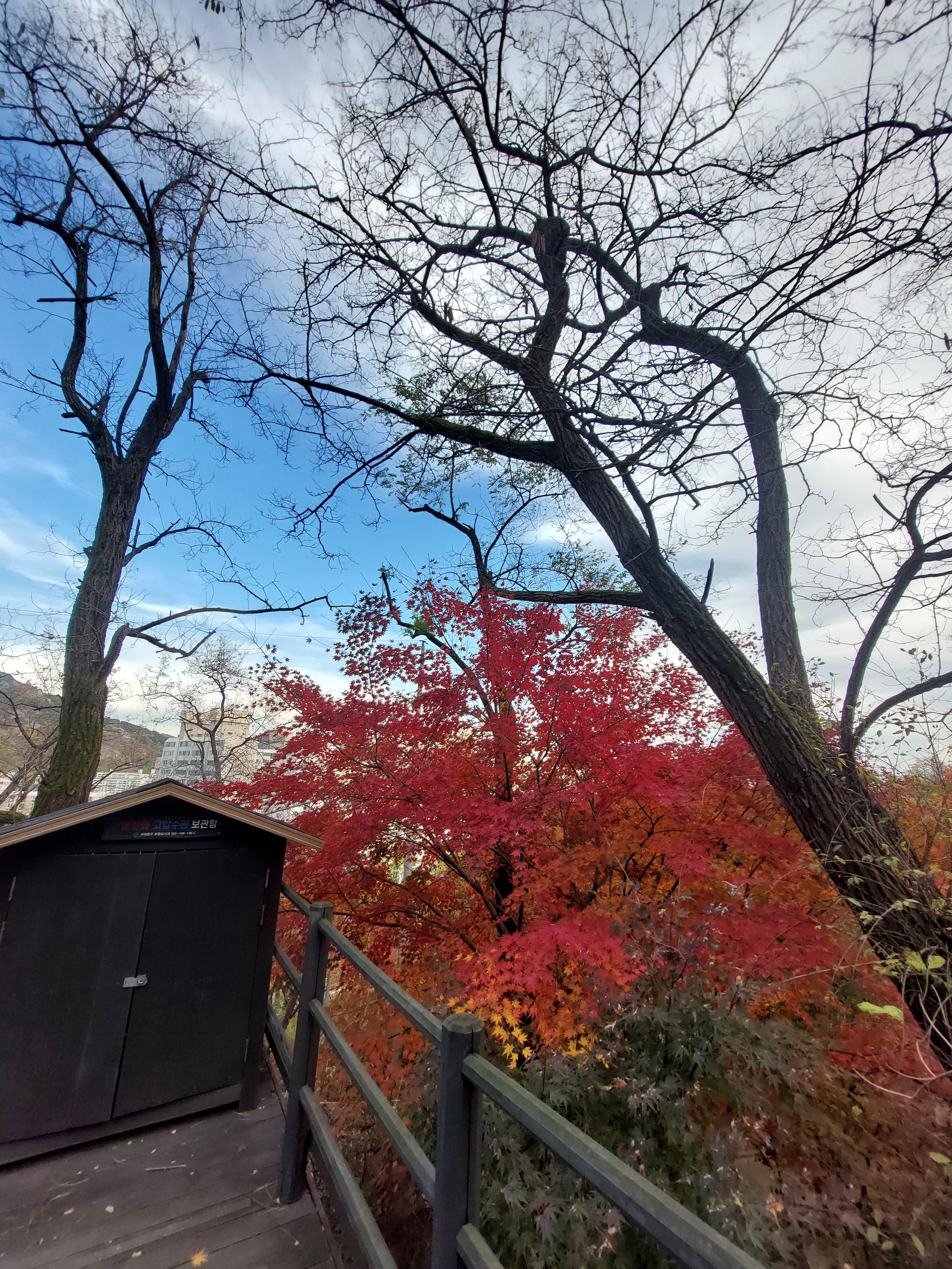 안산