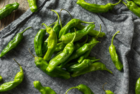 편스토랑-레시피