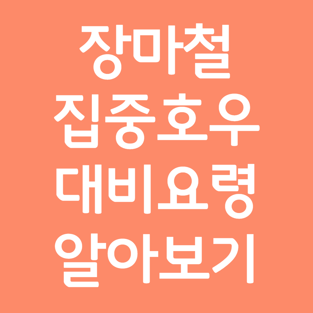 장마철 집중호우 대비 요령