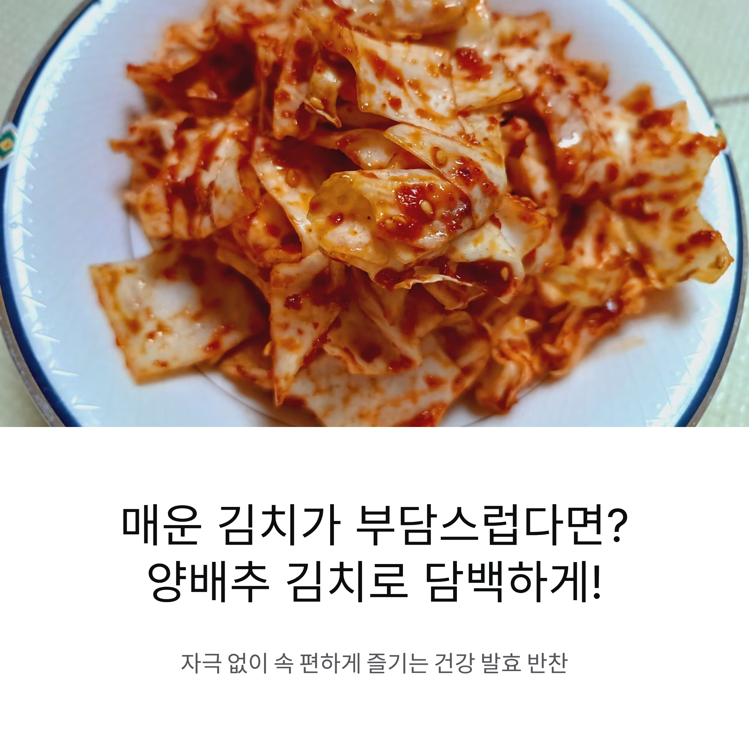 김치 대신 양배추 김치로 담백하게 즐기기! 속 편한 발효 반찬 레시피