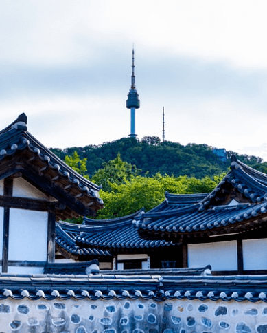 남산 케이블카 요금, 운행시간(예약, 할인)