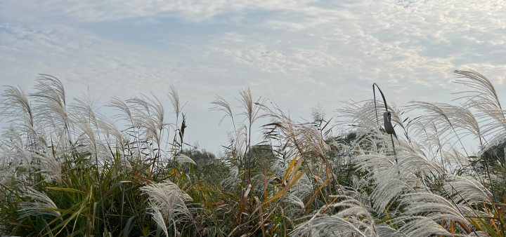 산책로-풍경