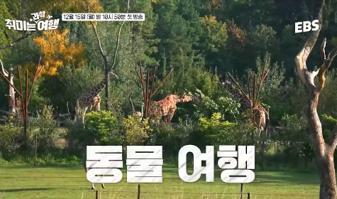 솔로들의 연애 상담에 지치더니 과학 탐구에 빠져버린 데프콘 | 인스티즈