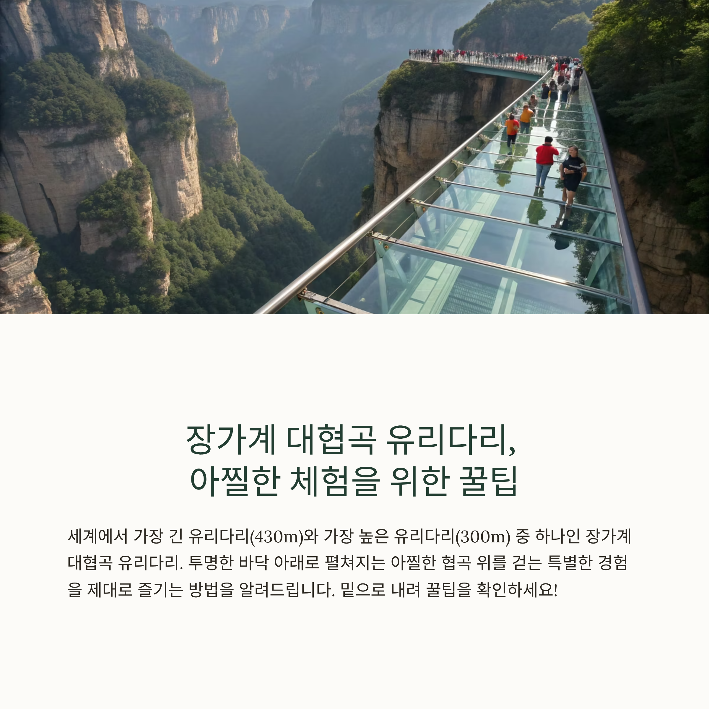 대협곡 유리다리 체험 꿀팁!