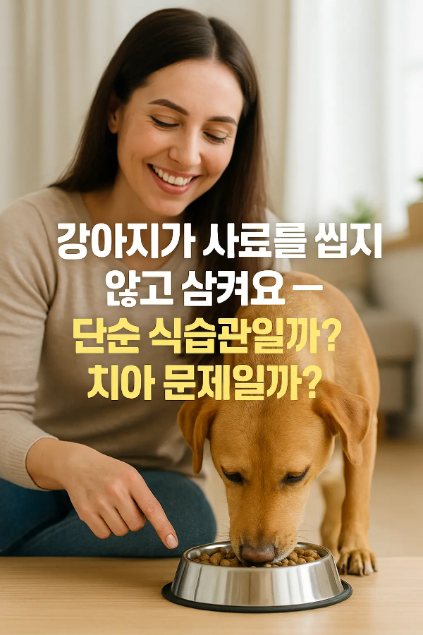 강아지가 사료를 먹고 있는 모습 옆에서 보호자가 웃고 있는 장면 위에 ‘강아지가 사료를 씹지 않고 삼켜요 — 단순 식습관일까? 치아 문제일까?’ 문구 삽입