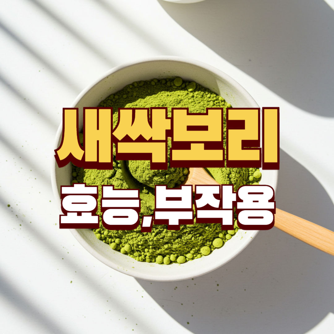 새싹보리 효능 부작용 썸네일