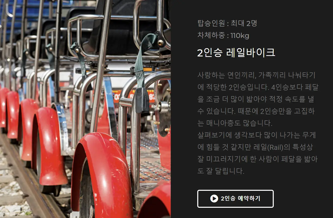 2인승 레일바이크
