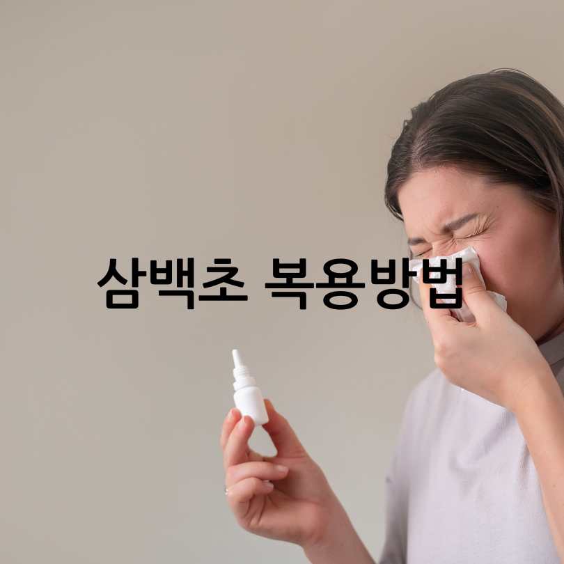 삼백초와 비염