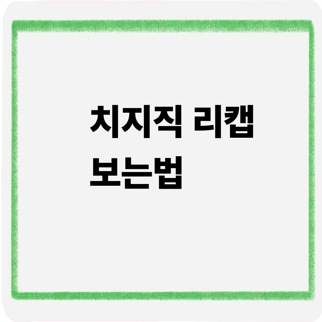 치지직 리캡 보는법