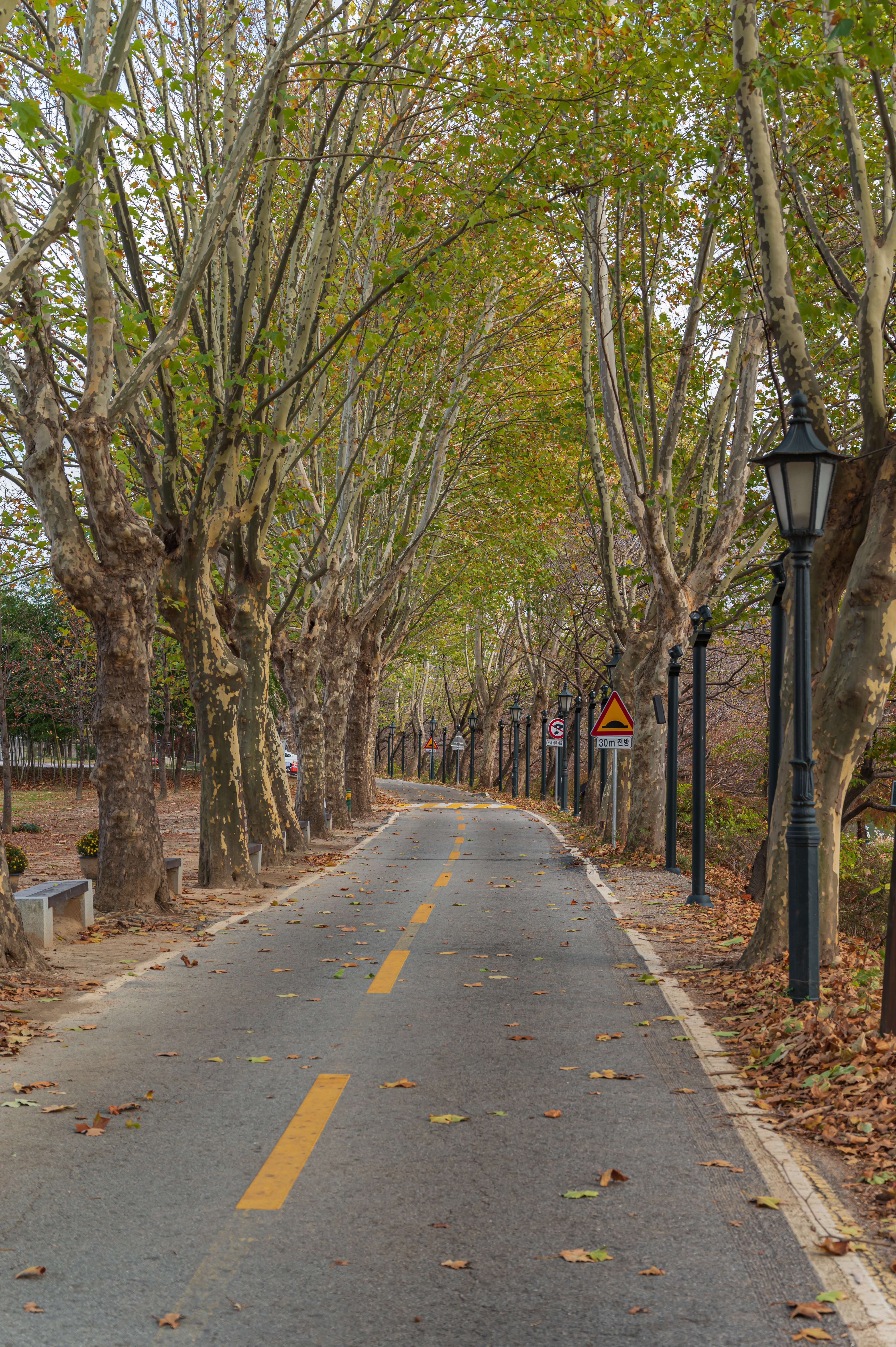 ๋ด์ ๊ด๋ฐฉ์ ๋ฆผ