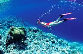 다양한 호핑 투어 사진