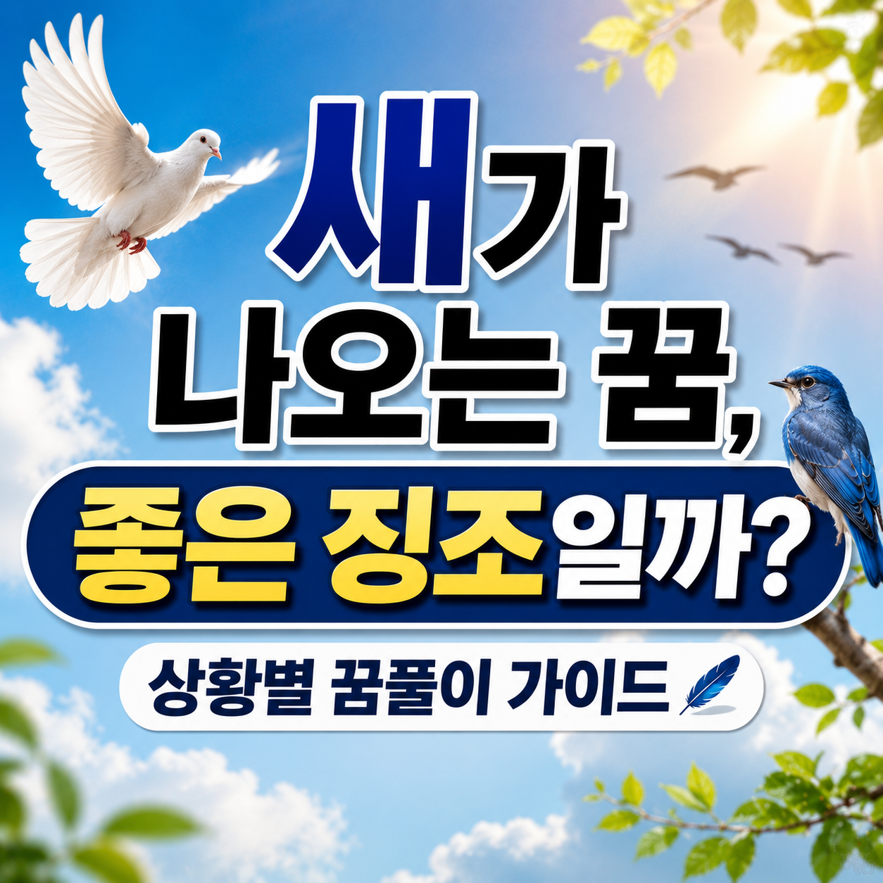 새가 나오는 꿈