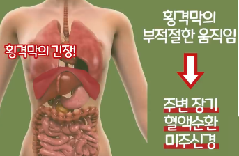 횡격막 호흡법이 영향을 주는 이유 1