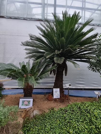 청주랜드-생태관