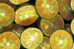 깔라만시 효능03