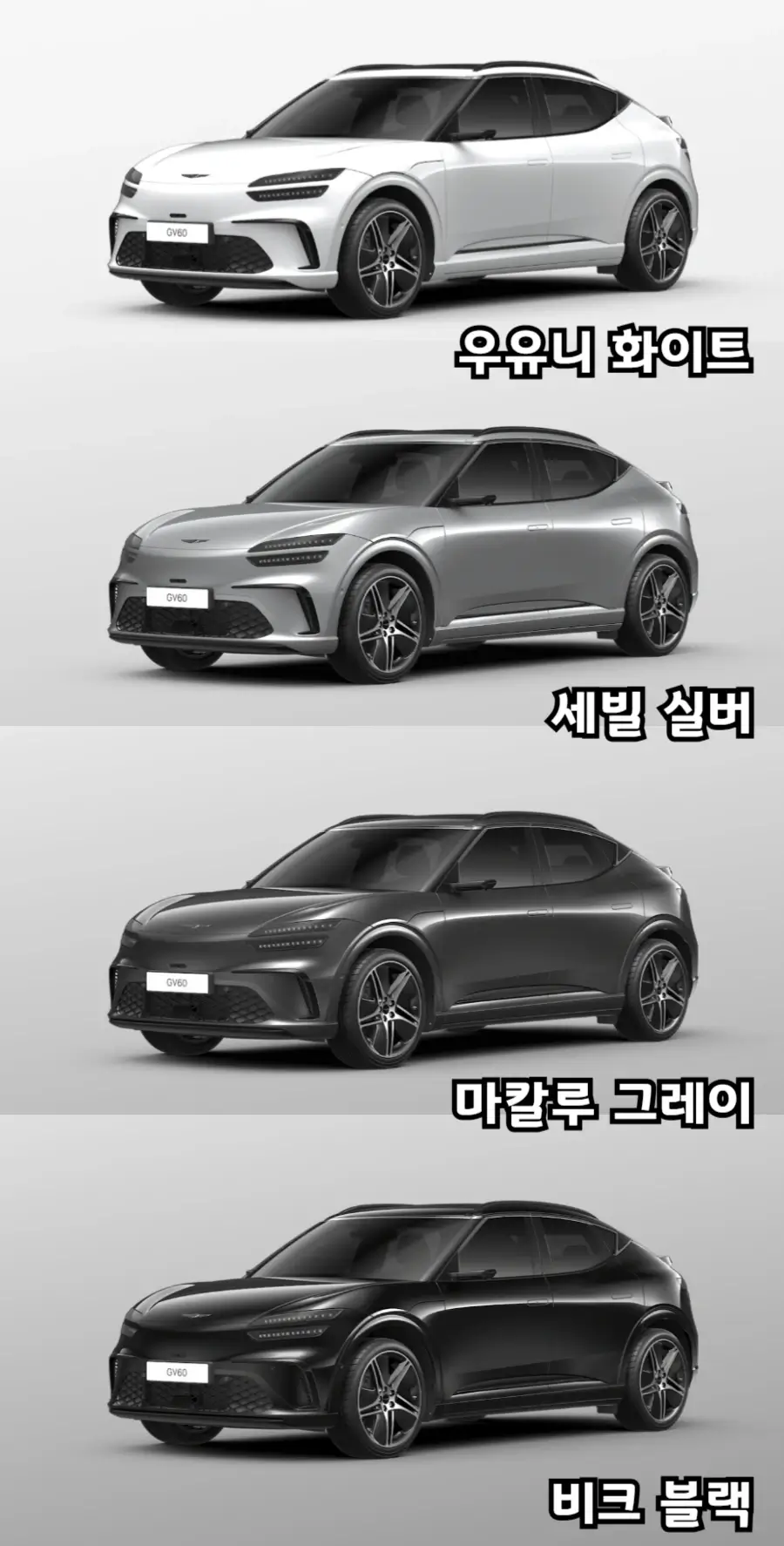 GV60-외장색상