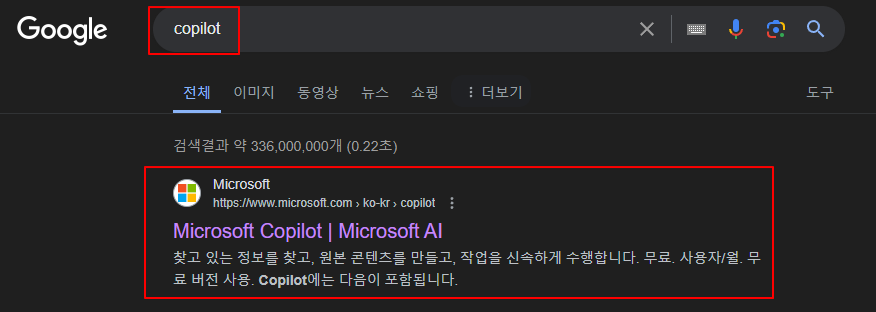 Copilot 홈페이지 접속