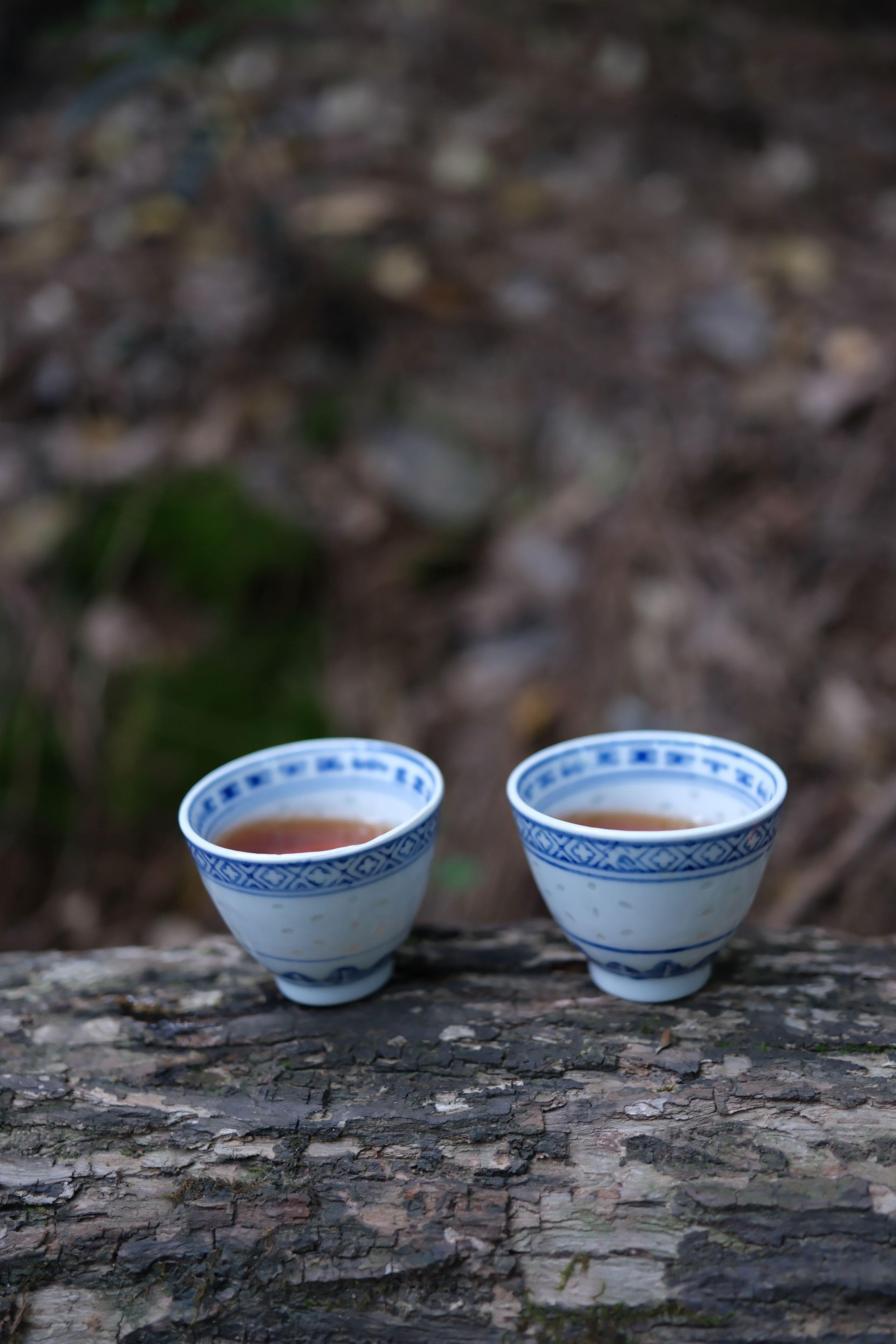 중국 백차와 녹차, 홍차의 차이점: 무엇이 다를까?