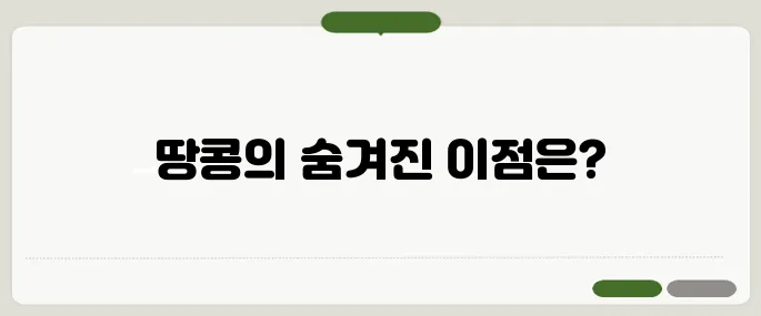 땅콩 효능 정리 한눈에 보기 좋게
